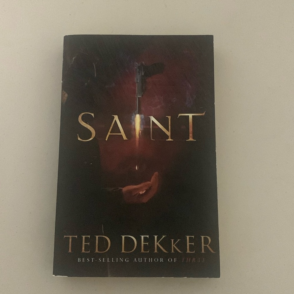 Saint Book Written By Ted Dekker